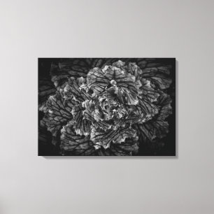 Lienzo Flores De Patio Trasero En Blanco Y Negro No 42