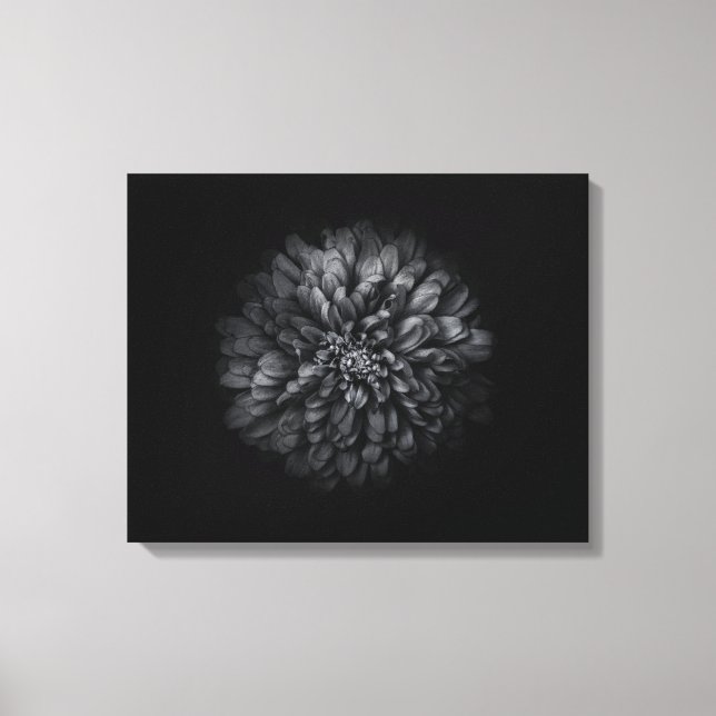 Lienzo Flores De Patio Trasero En Blanco Y Negro No 68 (Anverso)