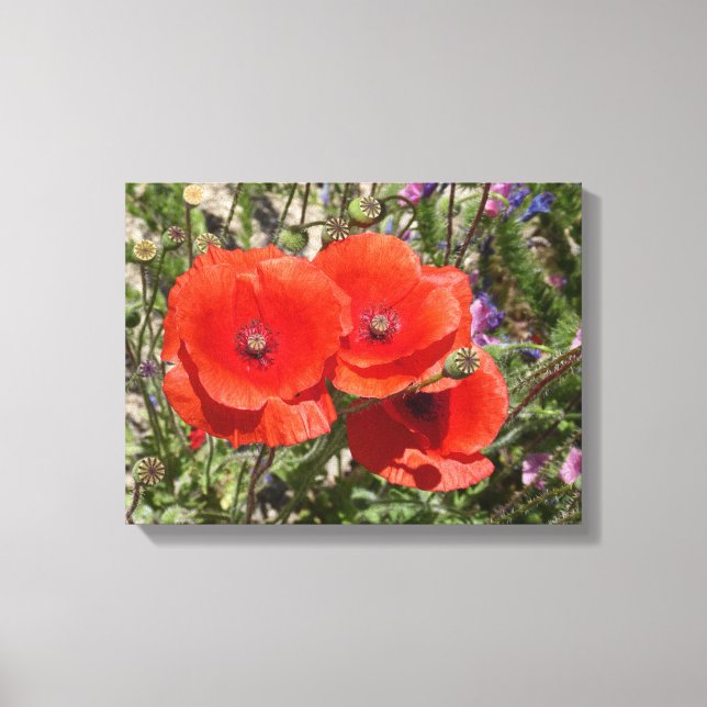 LIENZO FLORES DE POBRE (Anverso)