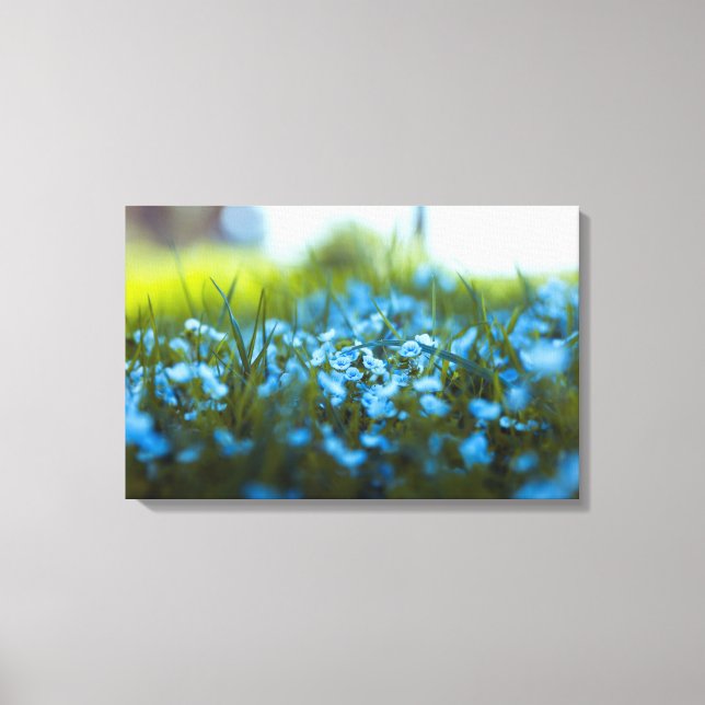 Lienzo Flores de primavera en el campo (Anverso)