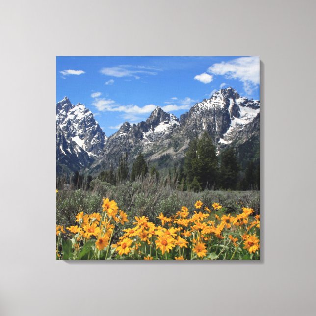 Lienzo Flores de primavera en el parque nacional del Gran (Anverso)