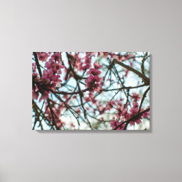 Lienzo Flores de primavera en un árbol