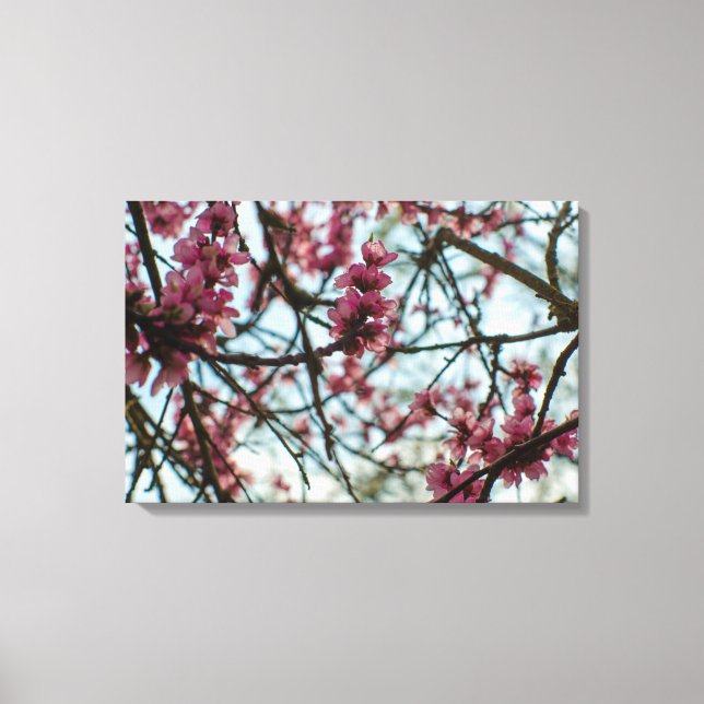 Lienzo Flores de primavera en un árbol (Anverso)