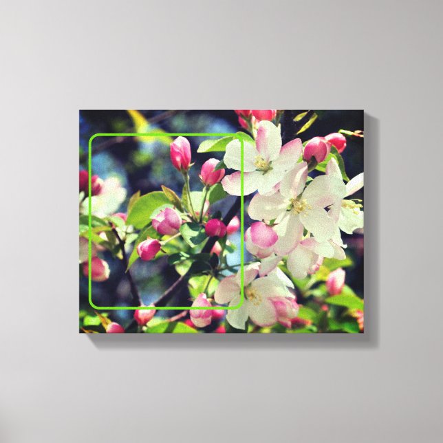 Lienzo Flores De Primavera Tempranas Crean Tu Propia Foto (Anverso)