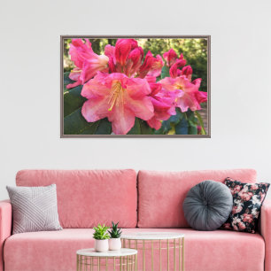 Lienzo Flores de Rhododendron Rosa