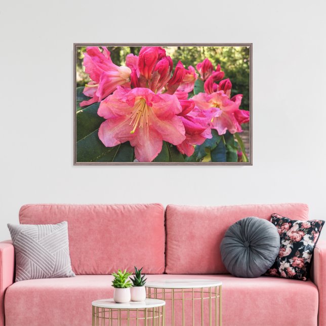 Lienzo Flores de Rhododendron Rosa (Insitu (Sala de estar))