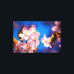 Lienzo Flores de Sakura Adorables<br><div class="desc">Flores de sakura de color rosa, suave azul y rosa. Día soleado de la temporada de primavera. Pintura digital estilizada extragrande de una fotografía. Arte de lienzo envuelto o estirado para decorar tu lugar. Impresiones florales y regalos para cualquiera. Puede transferir este diseño a una variedad de otros productos de...</div>