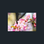 Lienzo Flores De Sakura Dulce En El Jardín En La Primaver<br><div class="desc">Árbol de cerezo japonés en flor. Una delgada rampa está cubierta de flores y capullos rosados de sakura. El tronco de un árbol oscuro en el fondo de tonos beige, violeta suave y grisáceo. Flores de cerezo adorables en primavera. Una pintura digital extra grande de una fotografía. Impresión de lienzos...</div>