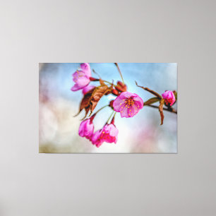 Lienzo Flores de Sakura en suaves colores rosados en prim