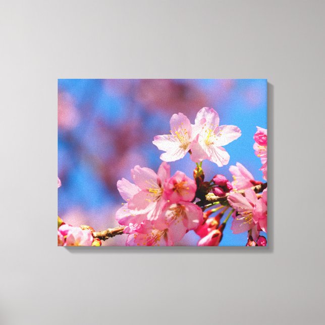 Lienzo Flores de Sakura rosadas en un árbol en primavera (Anverso)