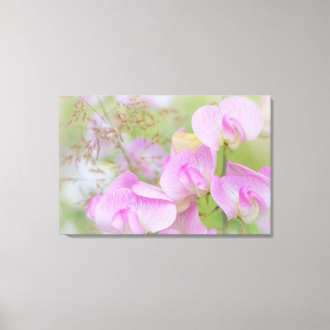 Lienzo Flores de Sweet Pea | Seabeck, WA (Anverso)