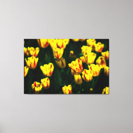 Lienzo Flores de tulipán amarillas