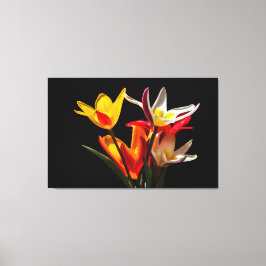 Lienzo Flores de tulipán contra fondo negro