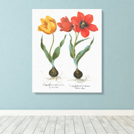 Lienzo Flores de Tulipán Primaveral Vintage por Basilius