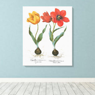 Lienzo Flores de Tulipán Primaveral Vintage por Basilius