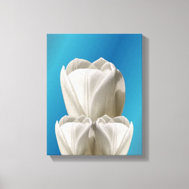 Lienzo Flores de tulipanes blancos (Anverso)