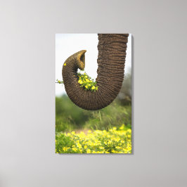 Lienzo Flores de un gigante