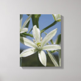 Lienzo Flores de verano tela envuelta