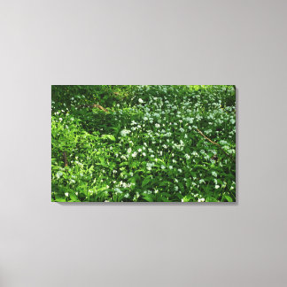 Lienzo Flores de Woodland