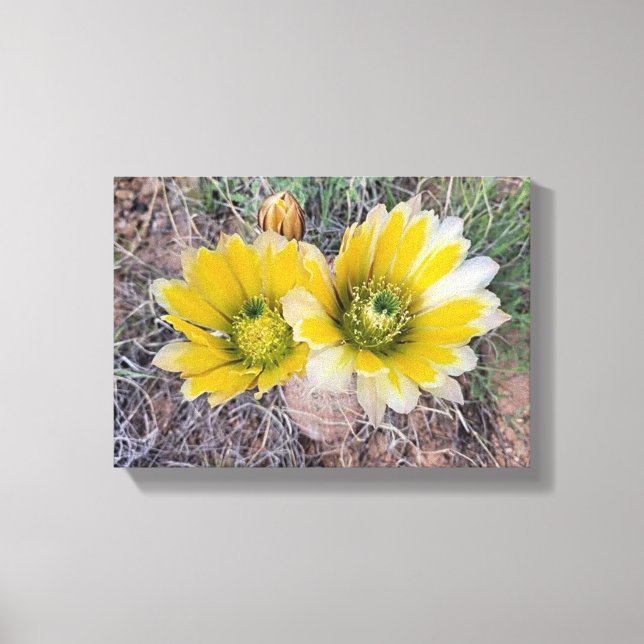 Lienzo Flores del Desierto (Anverso)
