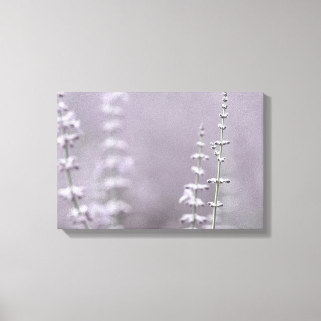 Lienzo Flores elegantes de lavanda (Anverso)