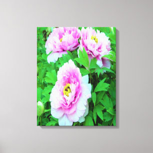 Lienzo Flores Elegantes de Peonía de Árbol Rosa con Centr
