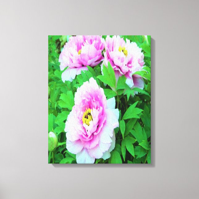 Lienzo Flores Elegantes de Peonía de Árbol Rosa con Centr (Anverso)