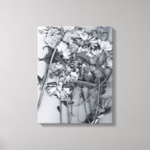 Flores en blanco y negro