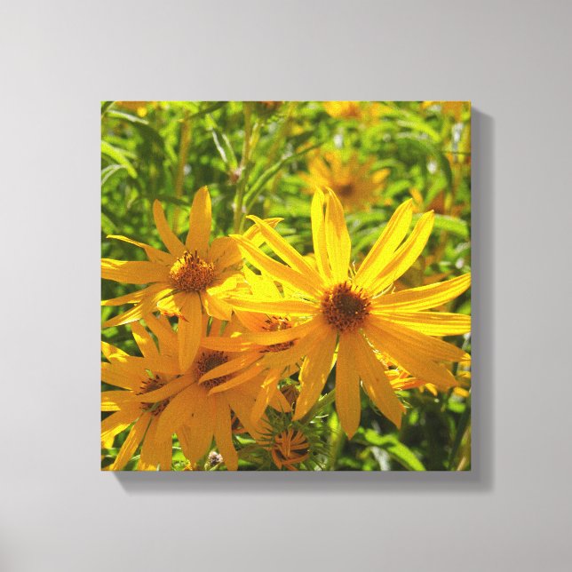 Lienzo Flores en mi hierbas " flores en mi hierba " (Anverso)