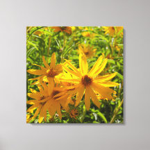 Flores en mi hierbas " flores en mi hierba "