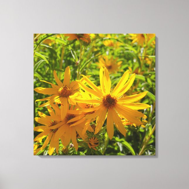 Lienzo Flores en mi hierbas " flores en mi hierba " (Anverso)