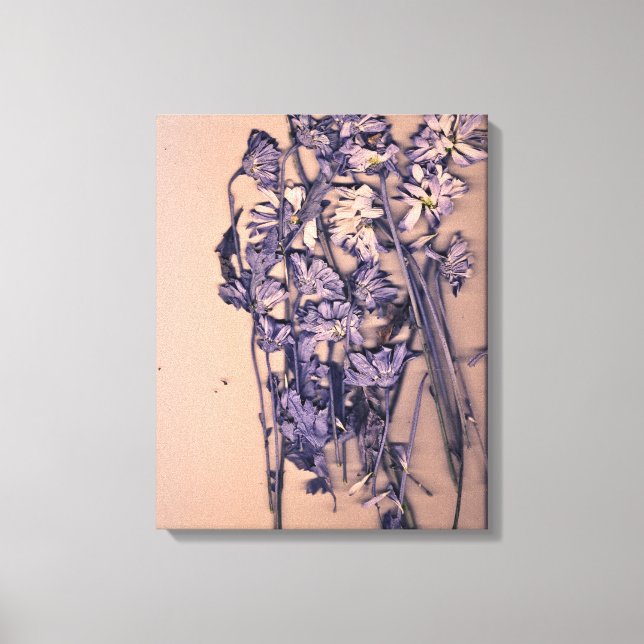 Lienzo Flores en una luz rosa (Anverso)