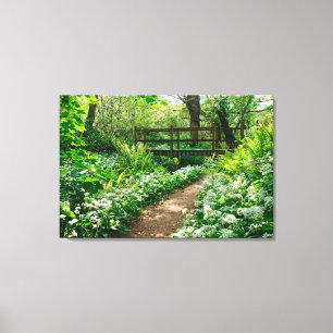 Lienzo Flores   Flores silvestres blancas en el bosque