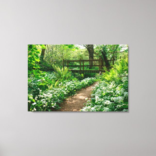 Lienzo Flores | Flores silvestres blancas en el bosque (Anverso)