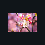 Lienzo Flores Frescas De Sakura En El Jardín En Primavera<br><div class="desc">Un grupo brillante de flores y brotes de sakura fresco sobre una rama de árbol contra el rico fondo de color rosa de las flores de cerezo. Un fondo delicadamente suave de color azul, rosa y amarillo. Los colores asombrosos de la temporada de primavera. Una pintura digital extra grande de...</div>