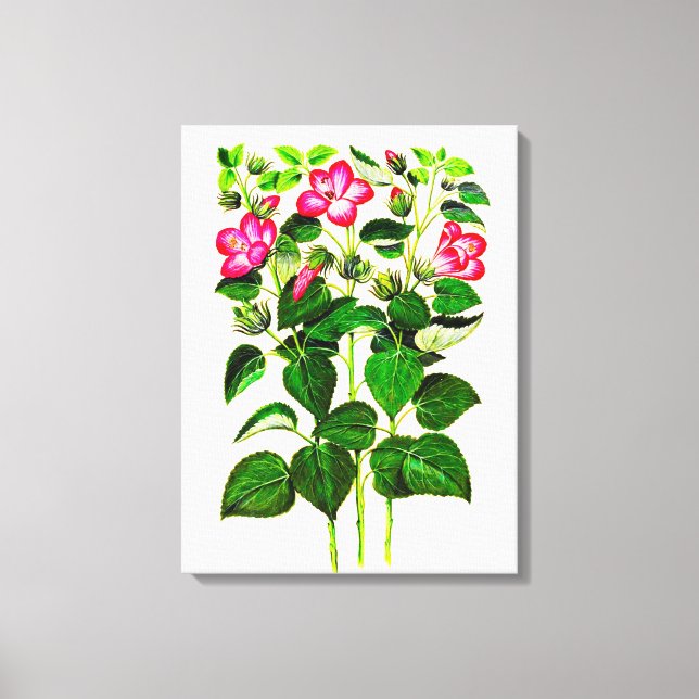 Lienzo Flores hibiscus rosadas italianas (Anverso)