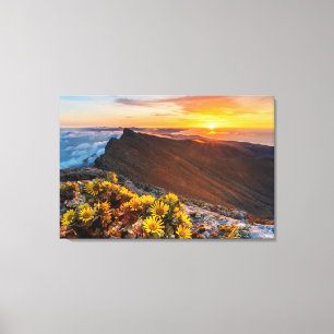 Lienzo Flores Islas Canarias, España