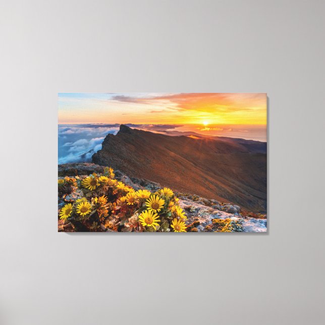 Lienzo Flores | Islas Canarias, España (Anverso)