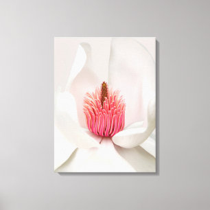 Lienzo Flores Magnolia blanca