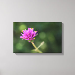 Lienzo Flores moradas Verano naturaleza fotografía floral