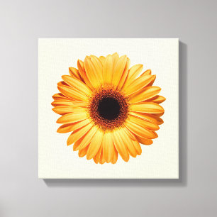 Lienzo Flores   Naranja Gerbera