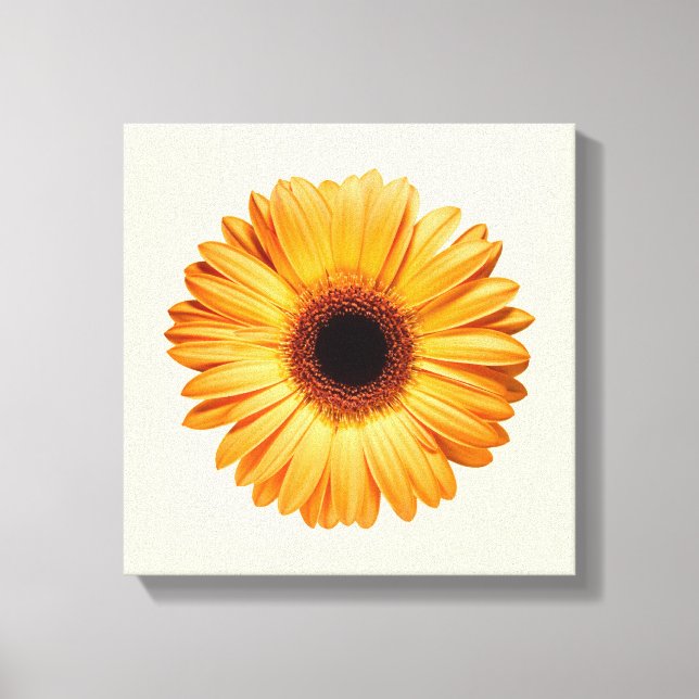 Lienzo Flores | Naranja Gerbera (Anverso)