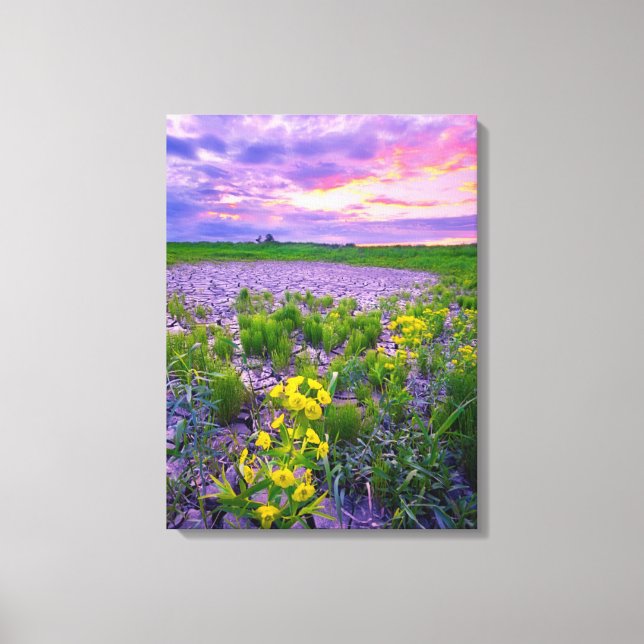 Lienzo Flores | North Dakota Red River Valley (Anverso)