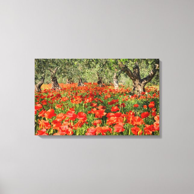 Lienzo Flores rojas de amapola bajo viejos olivos (Anverso)