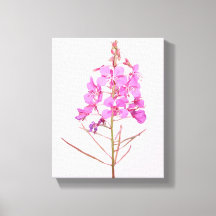 Flores rosadas bonitas, botánica floral moderna si