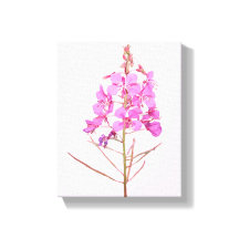 Flores rosadas bonitas botánica floral moderna sim