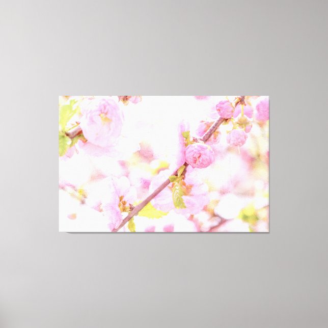 Lienzo Flores rosadas sakura - Flor japonesa de cerezo (Anverso)