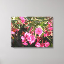 Flores rosas en el árbol