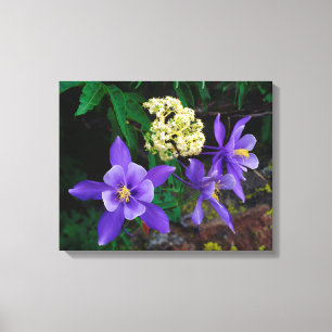 Lienzo Flores silvestres colombianas mutantes