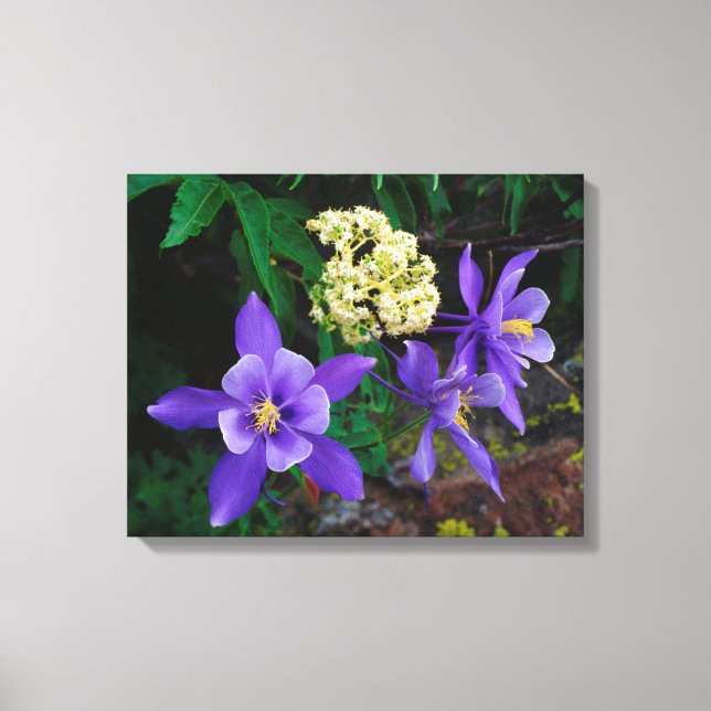 Lienzo Flores silvestres de columbina mutante (Anverso)